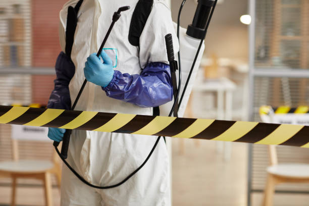 Professional Sewage Cleanup technician working in Gainesville, TX